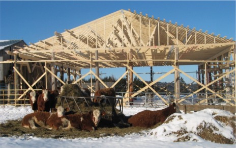 barn.jpg