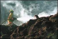 firefighter.jpg